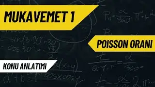 POISSON ORANI | KONU ANLATIMI | MUKAVEMET 1