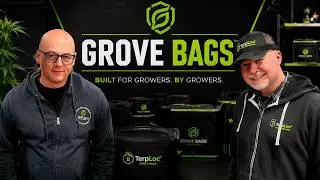 🌿🔥 Big News Coming?! Exclusive Interview with Grove Bags in Prague! 🚀👀