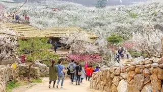 Gwangyang South Korea - A City of Industry and Beauty (2 Minutes)