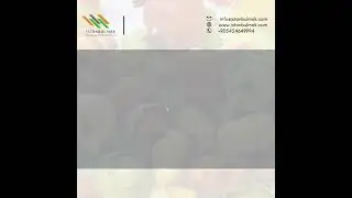 İSTANBULMAK TAGLIATELLE &Uuml;RETİM HATTI