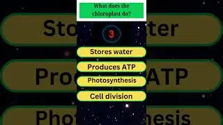 What Does the Chloroplast Do?  #biologymcqs #quiz #ntsquiz