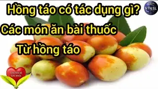 Sức khỏe: Hồng t&aacute;o c&oacute; t&aacute;c dụng g&igrave;? c&aacute;c m&oacute;n ăn b&agrave;i thuốc từ hồng t&aacute;o - NTN SL