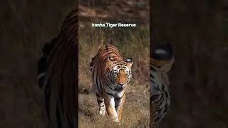 Explore Madhya Pradesh with Prasthan Tours