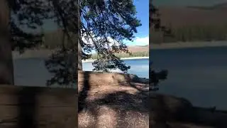 Quiet in nature