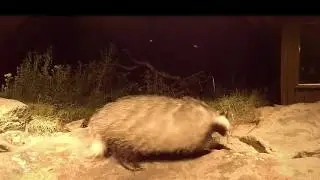 Evening Wildlife Watching 360&deg; Film