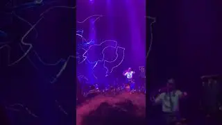 Steve lacy ryd Melbourne 2022  #stevelacy #rnb #geminirights #melbourne #music #tour #live