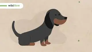 How to Take Care of Puppies