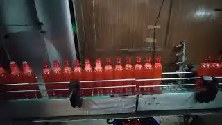 HIGH SPEED LINEAR SERVO FILLING WITH CAPPING UNIT