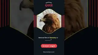 National Bird of Germany #quiztime #birds #birdslover #wildlife #animals #quiz #nature