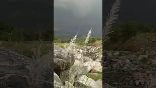 Most Beautiful Natural Hidden Places in Pakistan | ASMR #dirlower #nature #pakistantourism #asmr