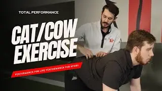 (Segmental Cat/Cow) Learn to create and control movement of the spine.
