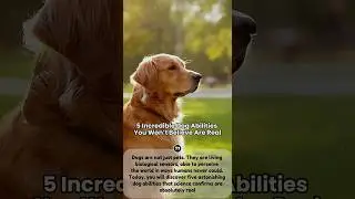 How Dogs Hear, Smell, and Feel Better Than Us #facts #dog #animals #shorts #wildlife #pets #viral