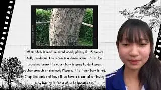 Characteristics of Bastard Teak
