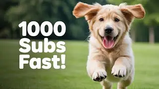 From Zero to 1,000 YouTube Subs With Dog Content in 30 Days