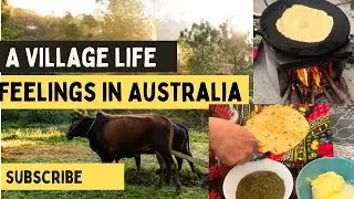 A village life fellings in Australia 🇦🇺|| home made butter||Desi style saag||makaie k roti.