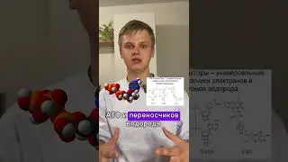 ЧТО такое ФОТОСИНТЕЗ ? Забирай полезные файлы в ТГК : ​⁠@KachanBio #биология #химияегэ #егэ2025