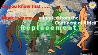 The Origin and Replacing Of Primates.#humanhistory #anthropology #ancienthistory