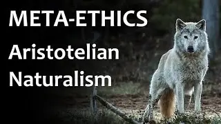 Metaethics - Aristotelian Naturalism
