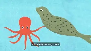 Who&rsquo;s Behind Me Sea Friends 🌊 | Children&rsquo;s Ehon Story | Learn Positions & Friendship