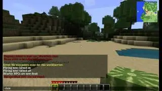 Minecraft - Mods installieren leicht gemacht + Single Player Commands