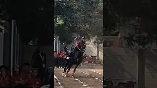 Horse riding helps children develop balance, discipline, confidence. textbooks.#thetigerishschool