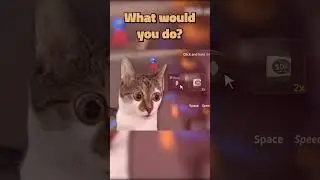 Love of The Game #gaming #funny #pcgaming  #memeshorts #mods #clips