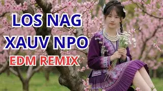 LOS NAG XAUV NPO EDM &ndash; Hmong EDM Remix Speaker Test