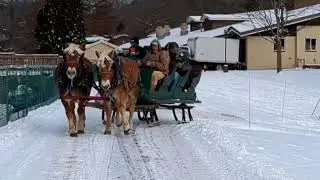 Winter Fun | Team of Horses pulling sleigh | Winter Piano Instrumental | Ting-a-ling a Sleigh Ride