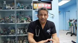 Aspirante a VETERINARIA, ¿Ya sabías esto sobre la carrera?