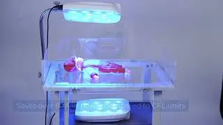 Neonatal Photo therapy Device | Bili Cure Smart