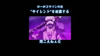 【onepiece】ローがコラソンの技