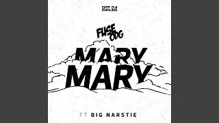 Mary Mary (feat. Big Narstie)