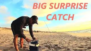 BIG SURPRISE CATCH AT THE BEACH, PERTH TAILOR ( PERTH BEACH FISHING )