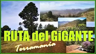 RUTA del GIGANTE - SEPULTURA del GIGANTE - SANTA LUCÍA - SENDERISMO en GRAN CANARIA #grancanaria