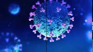 Coronavirus Job Retention Scheme