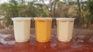 Aarey Milk Colony Goregaon Mumbai | Aarey Mango Lassi | Meghana Sachin