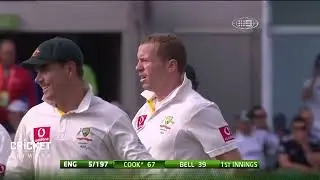Peter Siddle's Birthday hat-trick in 2010 Ashes series (w/ Cartoon SFX)