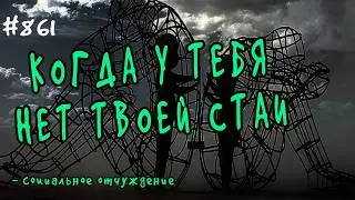 Схема-терапия.  Изгнание из общества или социальное отчуждение. Когда у тебя нет своей стаи...