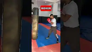 BOXER VS BRAWLER