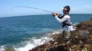 shorejig@h.k