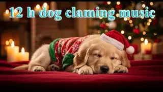 12 Hours Dog Sleep Music 🐶 Deep Calming Music for Anxiety  threapy