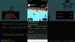 nhl95