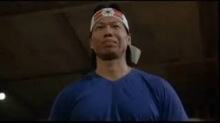 BLOODSPORT   Very good but brick dont hit back