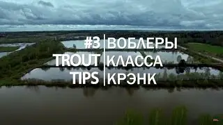 Trout Tips #3. Воблеры класса крэнк