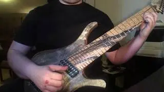Animals as Leaders - Modern Meat (Guitar Cover)