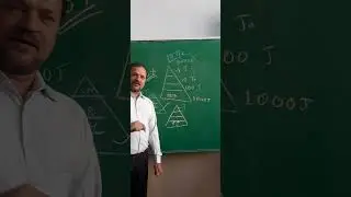Ten Percent Law|| Energy Flow in Food chain|| Lindenmann Law||