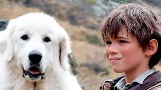 Belle y Sebasti&aacute;n (Trailer espa&ntilde;ol)