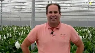 Patrick Zuidgeest van Bestplant kiest voor WPS