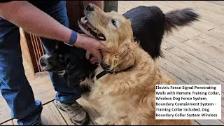 Wireless Dog Fence System - Training Collar Included, Quick Fast Set-up & Training