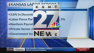 Numerous errors identified in Kansas SNAP program